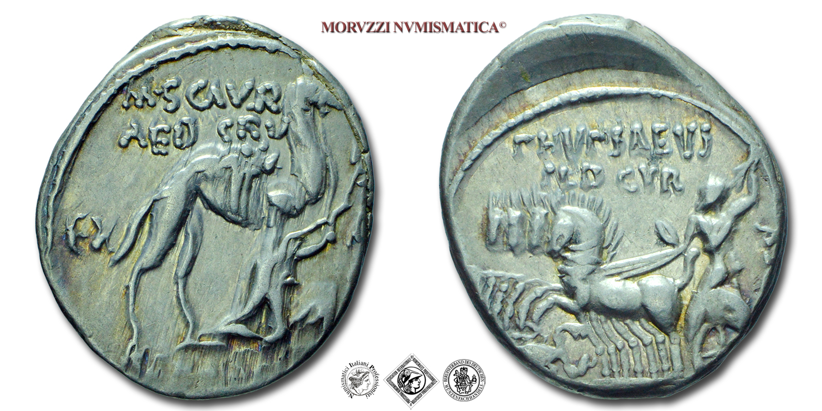 GENS AEMILIA, M. Aemilius Scaurus e P. Plautius Hypsaeus, DENARIO, 58 a.C., il re Aretas accanto ad un cammello / Giove in quadriga, Zecca di Roma, ARGENTO, mBB, (Crawford 422/1b) / monete romane repubblicane antiche d'argento (Repubblica Romana) | Moruzzi Numismatica