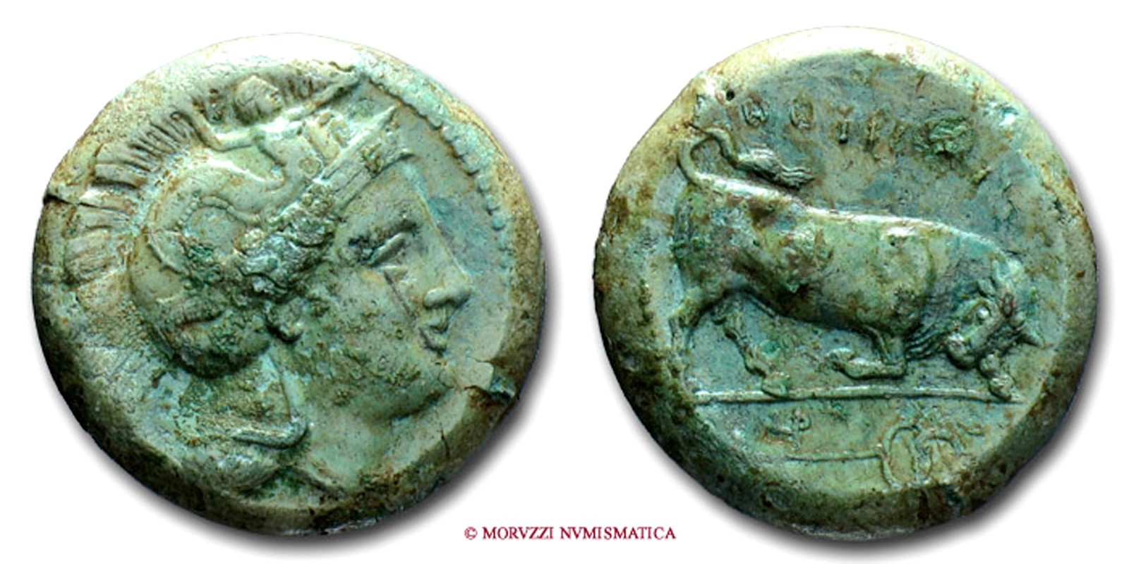 Lucania, THURIUM, LITRA, IV sec. a.C., Atena galeata con Scilla / Toro cozzante, zecca di Thurium, SPL, (R), (SNG Dan. 1500 var.) / Thoúrioi ancient Greek coins (monete greche antiche rare di bronzo - moneta greca antica - Magna Grecia) - OFFERTA SPECIALE | Moruzzi Numismatica