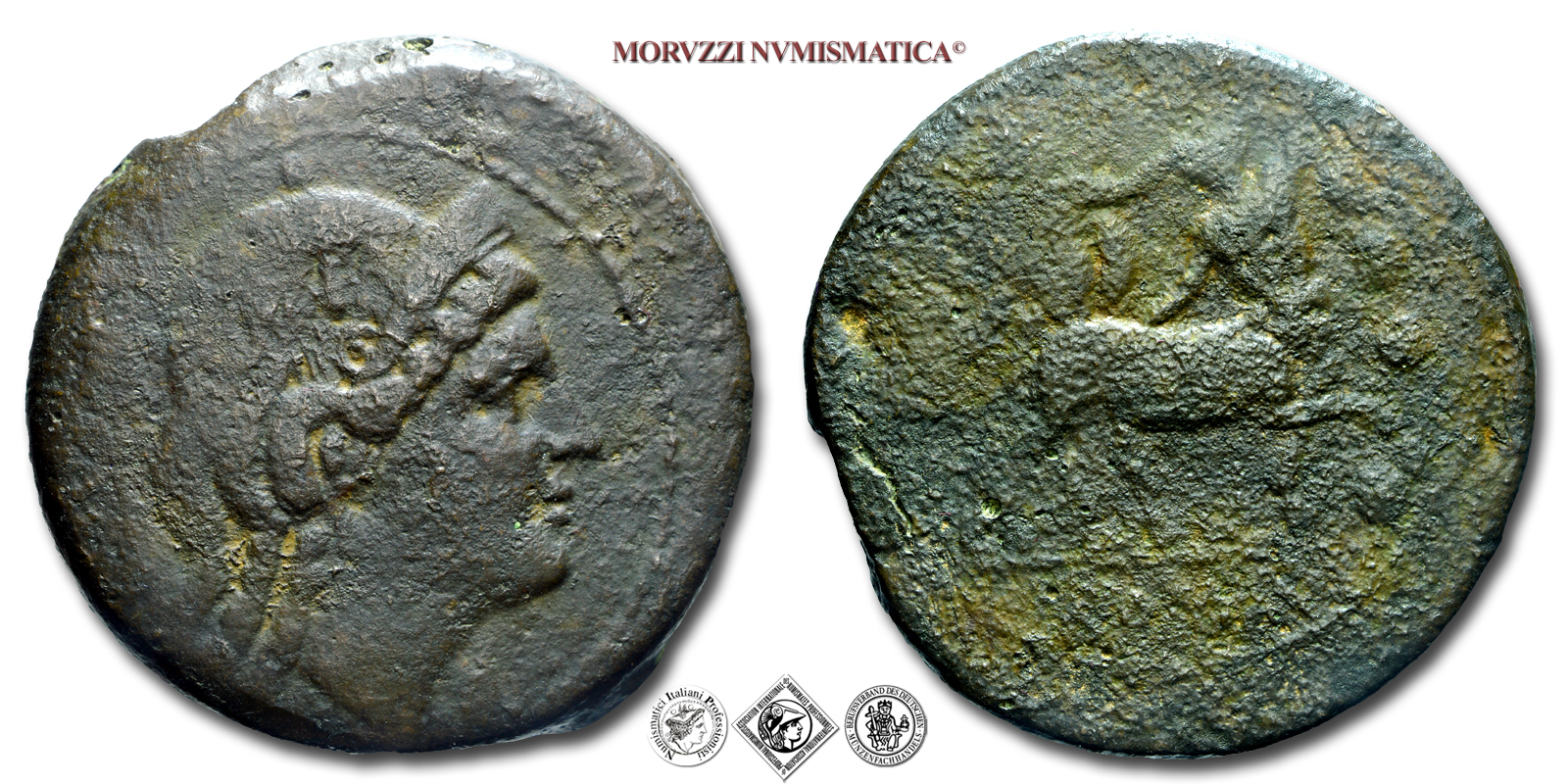 ANONIMO, TRIENTE SEMILIBRALE, 217-215 a.C., Figura femminile diademata / Ercole combatte il centauro, tiene i capelli e la clava, Zecca di Roma, BRONZO, MB, (R), (Crawford 39/1) monete romane repubblicane antiche rare (Repubblica Romana) OFFERTA SPECIALE | Moruzzi Numismatica - In offerta