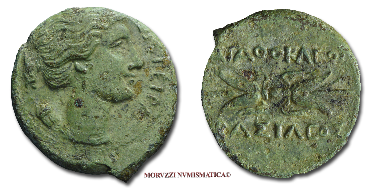 Sicilia, SIRACUSA, Agatocle, BRONZO, 300-289 a.C., ΣΩTEIPA busto di Artemide e dietro le spalle la faretra / AΓAΘOKΛEOΣ BAΣILEOΣ fulmine alato orizzontale, zecca di Siracusa, qSPL, (Buceti 873) / monete greche siciliane antiche (moneta greca antica) | Moruzzi Numismatica