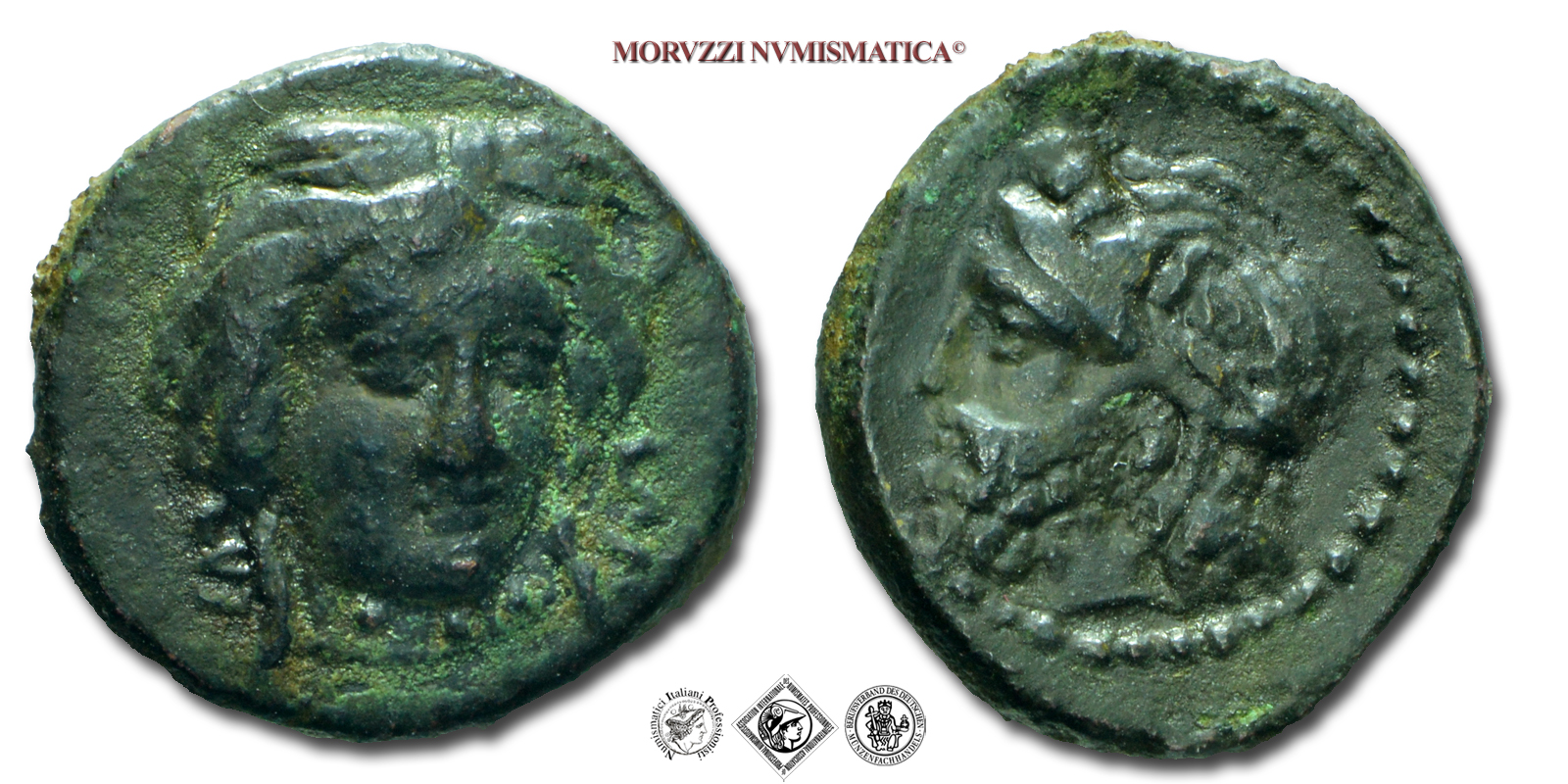 Sicilia, GELA, BRONZO, 339-310 a.C., testa frontale di 3/4 di Demetra coronata con corona di spighe / testa del dio fiume Gelas con corona di spighe e cornetti sulla fronte, Zecca di Gela, BB, (RR), (Buceti 109) / monete greche siciliane antiche rare | Moruzzi Numismatica