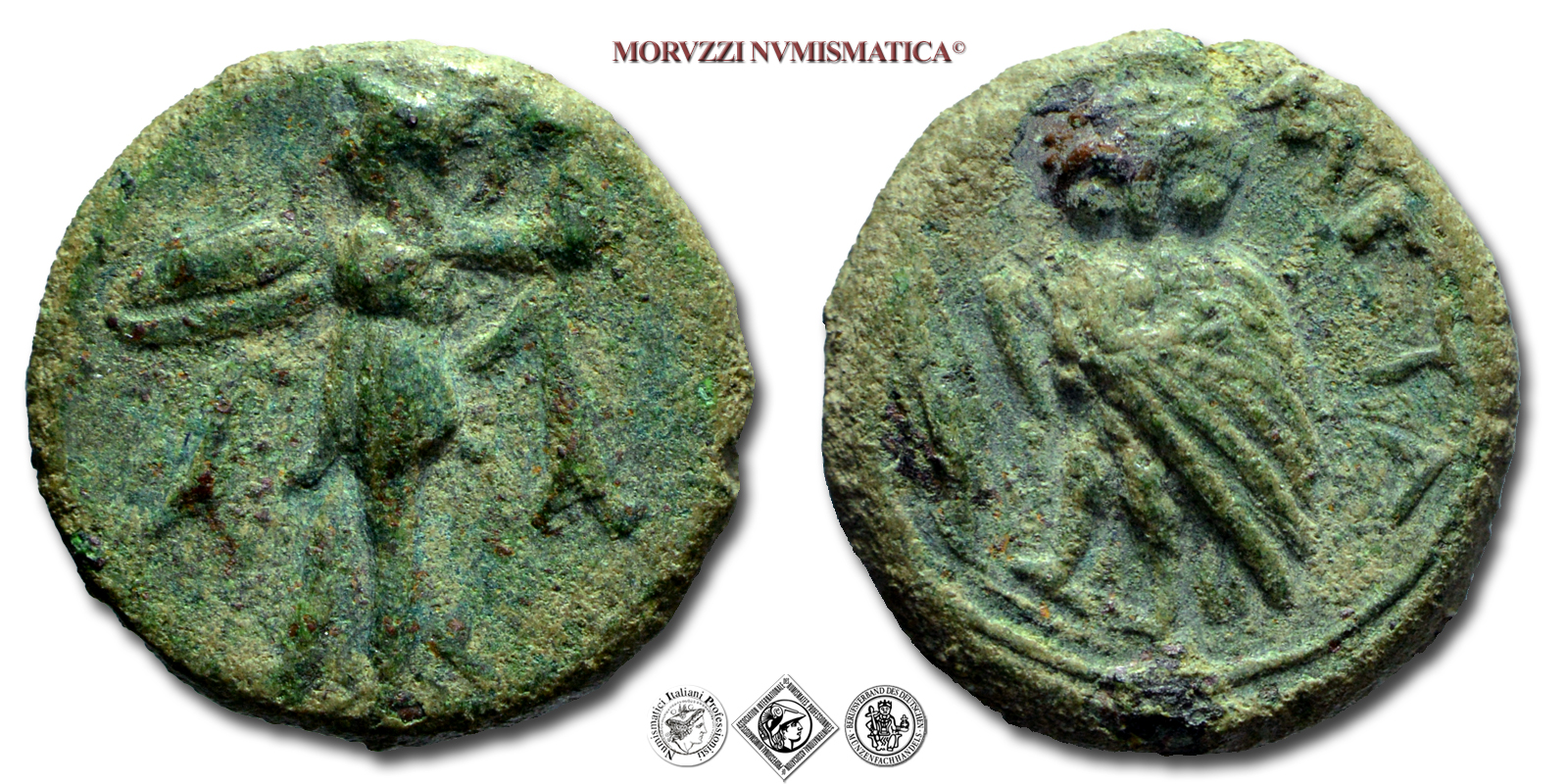 Lucania, METAPONTO, BRONZO, 300-250 a.C. Atena Alkidemos con scudo e lancia / civetta con ali aperte; nel campo, a destra: META, Zecca di Metaponto, mBB, (NC), (HN Italy 1704) / monete greche antiche (moneta greca antica della Magna Grecia) | Moruzzi Numismatica