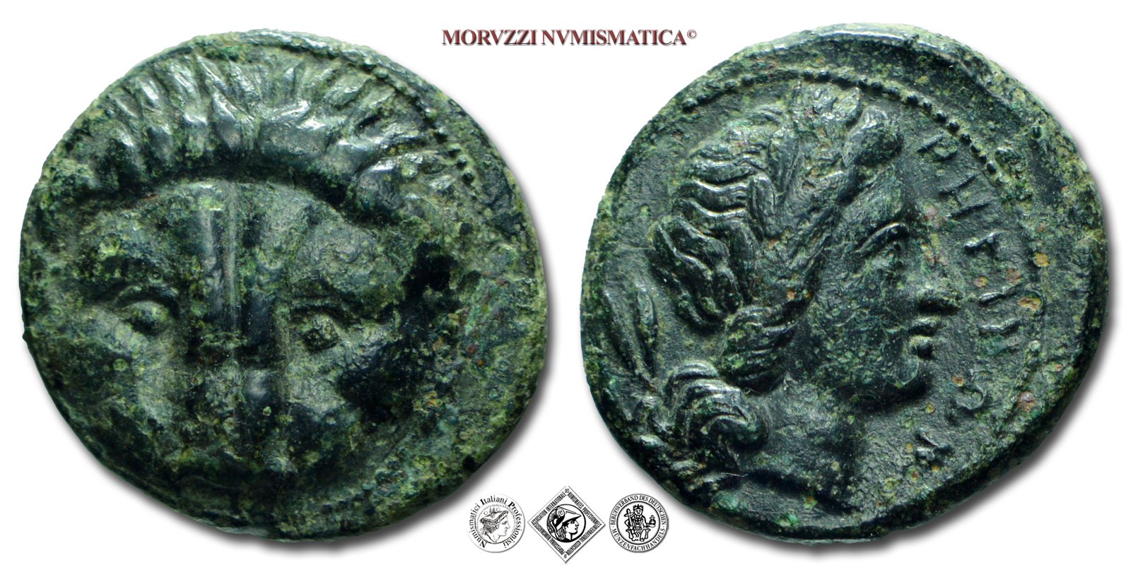 Bruttium, RHEGIUM, BRONZO, 350-270 a.C., scalpo del leone visto dall'alto, R/ PHΓINΩN testa laureata di Apollo, zecca di Rhegion, SPL, (SNG Dan. 1942) / monete greche antiche da collezione (moneta greca antica della Magna grecia) | Moruzzi Numismatica