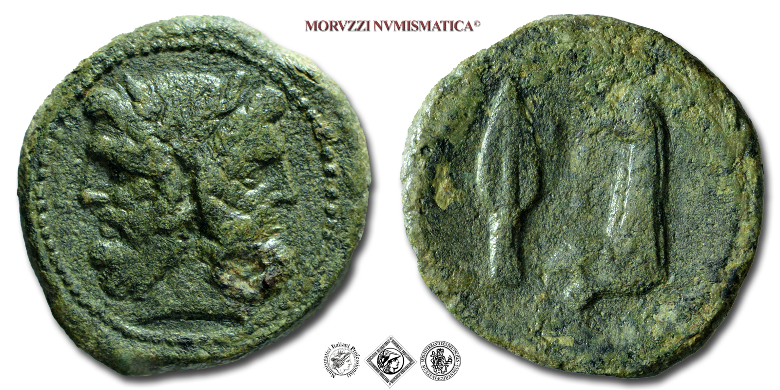 Sicilia, PANORMOS, BRONZO, *dopo il 241 a.C., testa di Giano bifronte / punta di lancia e sotto mascella di cinghiale, Zecca di Palermo, mBB, (RRR), (Buceti 195) / monete greche siciliane antiche rare (moneta greca siciliana antic rara da collezione) | Moruzzi Numismatica