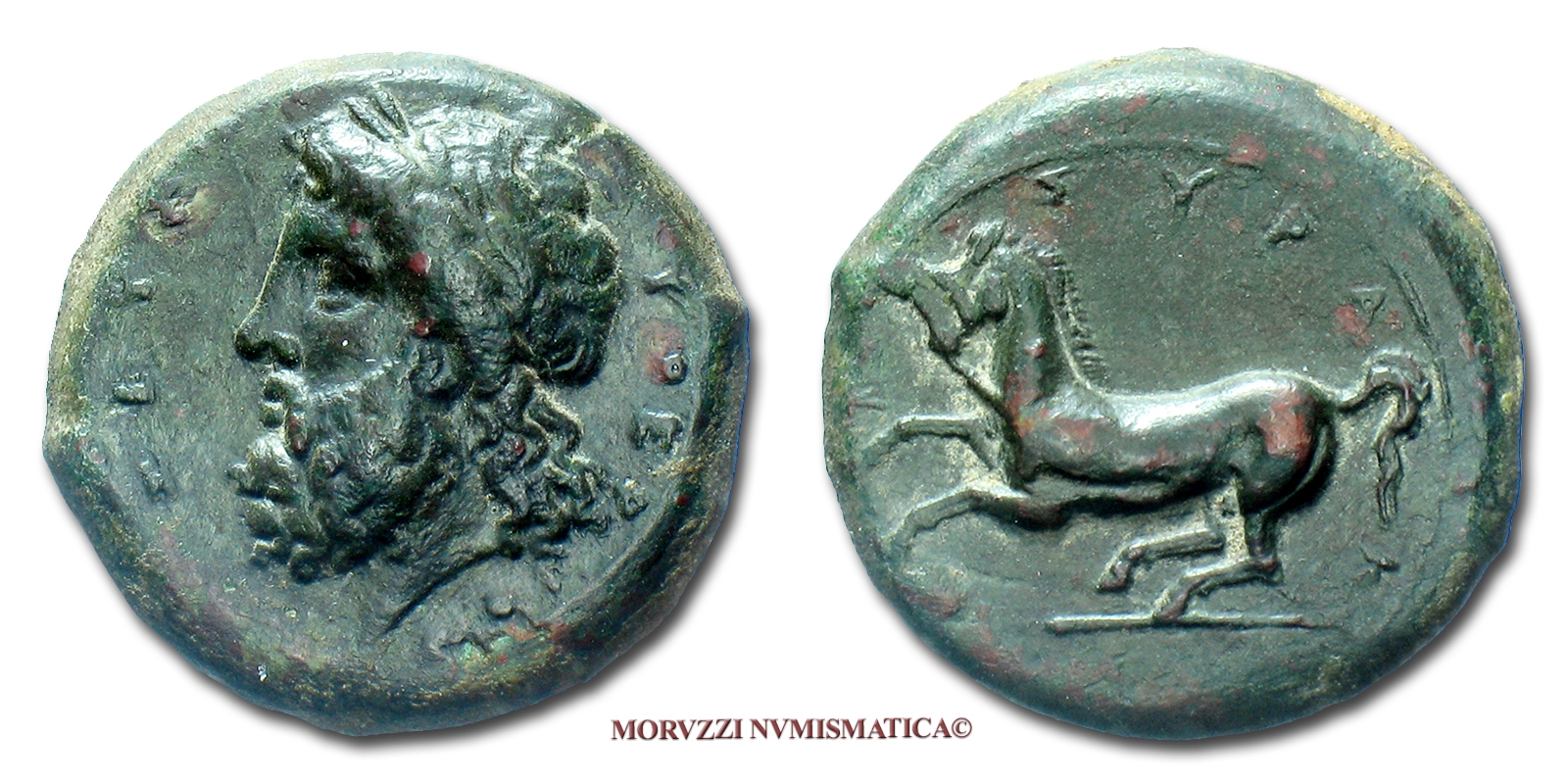 Sicilia, SIRACUSA, Timoleonte, DILITRON, 341-336 a.C., Zeus / cavallo impennato, zecca di Siracusa, BB, (NC), (Buceti 620) / Timolèon (monete greche siciliane antiche di bronzo - moneta greca siciliana antica da collezione) | Moruzzi Numismatica