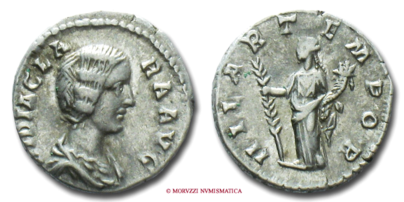 DIDIA CLARA, DENARIO, 193 d.C., HILAR TEMPOR, zecca di Roma, ARGENTO, mBB, (RRR), (RIC 10/R4) / SILVER DENARIUS ancient coins (monete romane imperiali antiche rare d'argento - moneta romana imperiale antica rara - Impero Romano) DENIER | Moruzzi Numismatica