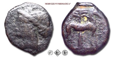 Zeugitana, MONETAZIONE PUNICA, BRONZO, 310-280 a.C., Kore con tra i capelli spighe e foglie di grano / cavallo e palma sullo sfondo, Zecca di Cartagine, MB, (Viola 194) / monete greche puniche cartaginesi antiche (moneta greca punica cartaginese antica da collezione) | Moruzzi Numismatica