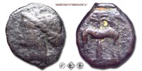 Zeugitana, MONETAZIONE PUNICA, BRONZO, 310-280 a.C., Kore con tra i capelli spighe e foglie di grano / cavallo e palma sullo sfondo, Zecca di Cartagine, MB, (Viola 194) / monete greche puniche cartaginesi antiche (moneta greca punica cartaginese antica da collezione) | Moruzzi Numismatica