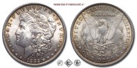 Stati Uniti d'America, DOLLARO, Morgan, 1882, Zecca di Philadelphia, ARGENTO, SPL, (KM 110) / USA - United States of America SILVER ONE DOLLAR COINS (monete mondiali americane da collezione - moneta mondiale americana - dollari americani d'argento) | Moruzzi Numismatica