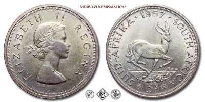 Sudafrica, ELISABETTA II, SCELLINI 5, Springbok, 1957, ARGENTO, SPL, (KM 52) / South Africa Queen Elizabeth II World SILVER coins (monete mondiali sudafricane d'argento - moneta mondiale sudafricana da collezione) | Moruzzi Numismatica