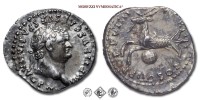 TITO, DENARIO, 79 d.C., TR P VIIII IMP XV COS VII P P capricorno e sotto globo, Zecca di Roma, ARGENTO, BB, (RIC 37/R) / monete romane imperiali antiche rare d'argento (moneta romana imperiale antica antica rara della dinastia Flavia - Impero Romano) | Moruzzi Numismatica