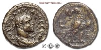 CLAUDIO II, NUMMO, 270 d.C., Aquila con corona nel becco, Zecca di Alessandria, BRONZO, mBB, (Dattari 5414) / monete romane imperiali provinciali antiche (moneta romana imperiale provinciale antica - Impero Romano) | Moruzzi Numismatica