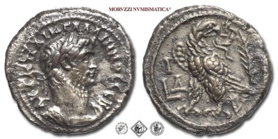 GALLIENO, NUMMO, 253-268 d.C., Aquila ad ali chiuse ed a destra un ramo di palma, Zecca di Alessandria, BRONZO, q​​​​​​​SPL, (Dattari 5294 var.) / monete romane imperiali provinciali antiche (moneta romana imperiale provinciale antica - Impero Romano) | Moruzzi Numismatica