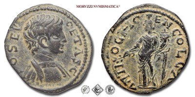 GETA, BRONZO, 209-212 d.C., GEN COL CA ANTIOCH il Genio stante con ramoscello e cornucopia, Zecca di Antiochia, mBB, (Sear 2876) / monete romane imperiali provinciali antiche (moneta romana imperiale provinciale antica - Impero Romano) | Moruzzi Numismatica