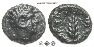 Lucania, METAPONTO, BRONZO, 350-275 a.C., testa di Ercole con leontè / META spiga di grano, Zecca di Metaponto, qSPL, (HN Italy 1669) / monete greche antiche (moneta greca antica della Magna Grecia) | Moruzzi Numismatica
