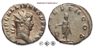GALLIENO, ANTONINIANO, 259 d.C., P M TR P VII COS l'Imperatore stante in atto di sacrificare su di un'ara. Nella sinistra tiene un corto scettro, Zecca di Roma, BRONZO, SPL, (RIC 123) / monete romane imperiali antiche (moneta romana imperiale antica - Impero Romano) | Moruzzi Numismatica
