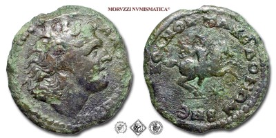 Impero Romano, Macedonia, ALESSANDRO MAGNO, BRONZO, 238-244 d.C., AΛEΞANΔΡOΥ testa diademata di Alessandro / KOINON MAKEΔONΩN B NEΩ Alessandro a cavallo e sotto le zampe una stella, MB, (BMC 25,124) / monete romane imperiali e greche antiche (moneta romana imperiale e greca macedone antica da collezione - Grecia) | Moruzzi Numismatica