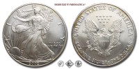 Stati Uniti, DOLLARO, American Eagle, 2002, Zecca di Philadelphia, ARGENTO, FDC, (KM 273) / USA - United States of America ONE DOLLAR (WORLD SILVER COINS - monete mondiali americane moderne - moneta mondiale americana moderna - dollari d'argento) | Moruzzi Numismatica
