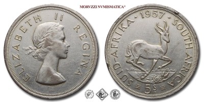Sudafrica, ELISABETTA II, SCELLINI 5, Springbok, 1957, ARGENTO, SPL, (KM 52) / South Africa Queen Elizabeth II SHILLINGS 5 World SILVER coins (monete mondiali sudafricane d'argento - moneta mondiale sudafricana da collezione) | Moruzzi Numismatica