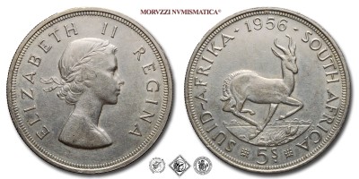 Sudafrica, ELISABETTA II, SCELLINI 5, Springbok, 1956, ARGENTO, SPL, (KM 52) / South Africa Queen Elizabeth II SHILLINGS 5 World SILVER coins (monete mondiali sudafricane d'argento - moneta mondiale sudafricana da collezione) | Moruzzi Numismatica