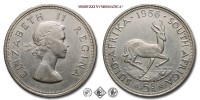 Sudafrica, ELISABETTA II, SCELLINI 5, Springbok, 1956, ARGENTO, SPL, (KM 52) / South Africa Queen Elizabeth II SHILLINGS 5 World SILVER coins (monete mondiali sudafricane d'argento - moneta mondiale sudafricana da collezione) | Moruzzi Numismatica